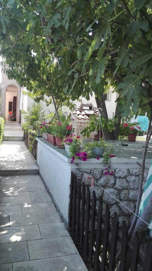 Apartmani Erceg Jadrija Εξωτερικό φωτογραφία