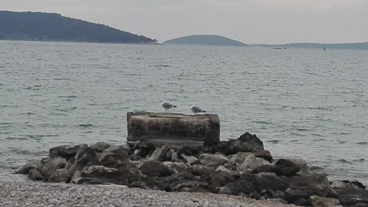 Apartmani Erceg Jadrija Εξωτερικό φωτογραφία